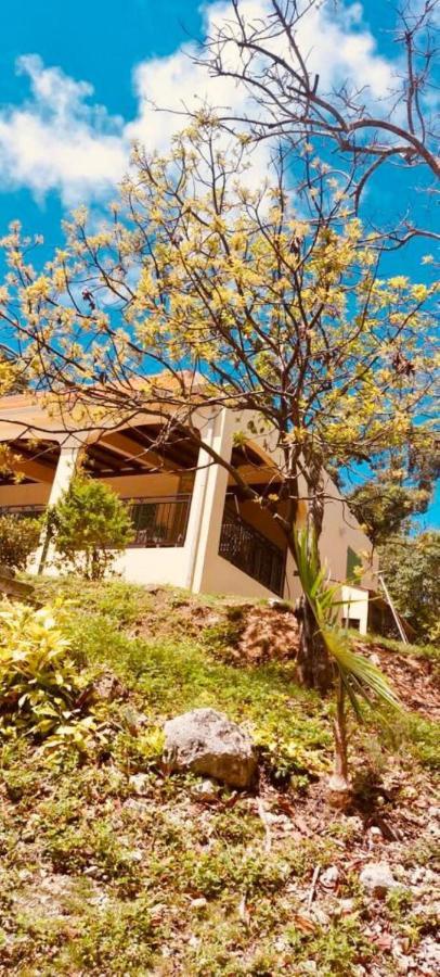Villa La Bastida : Avec Piscine