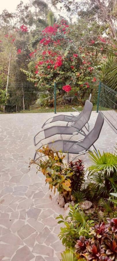La Bastida : Avec Piscine Le Moule